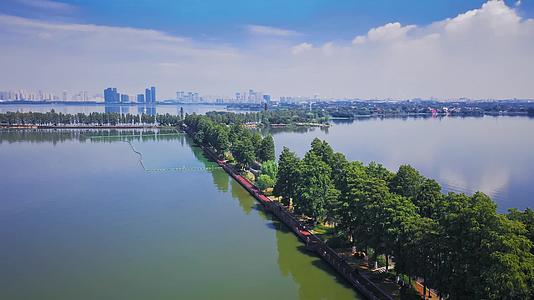 武汉东湖自然景区风光航拍视频的预览图