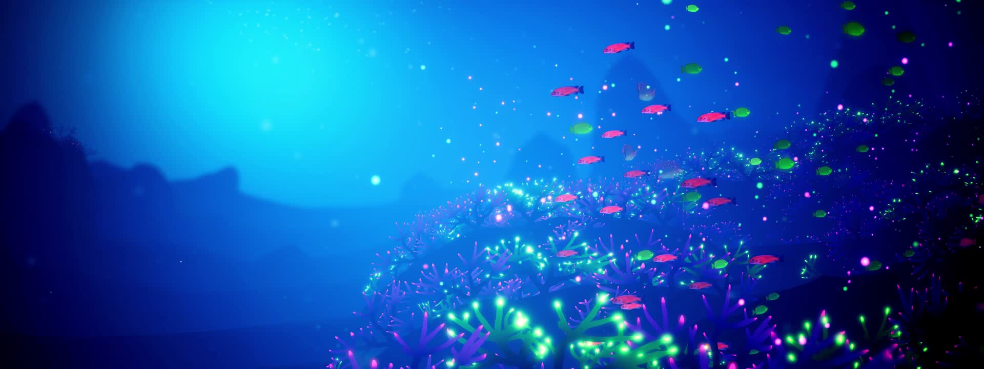唯美珊瑚海底世界鱼群视频的预览图