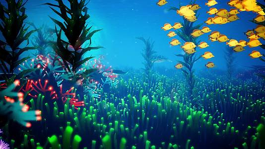 唯美珊瑚海底世界鱼群视频的预览图