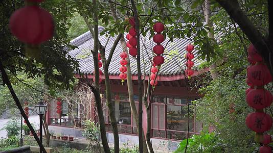 杭州西湖风景区三生石4K风景视频视频的预览图