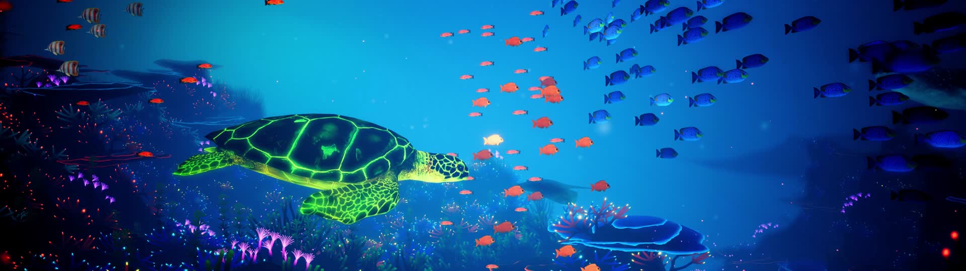 唯美珊瑚海底世界宽屏版视频的预览图