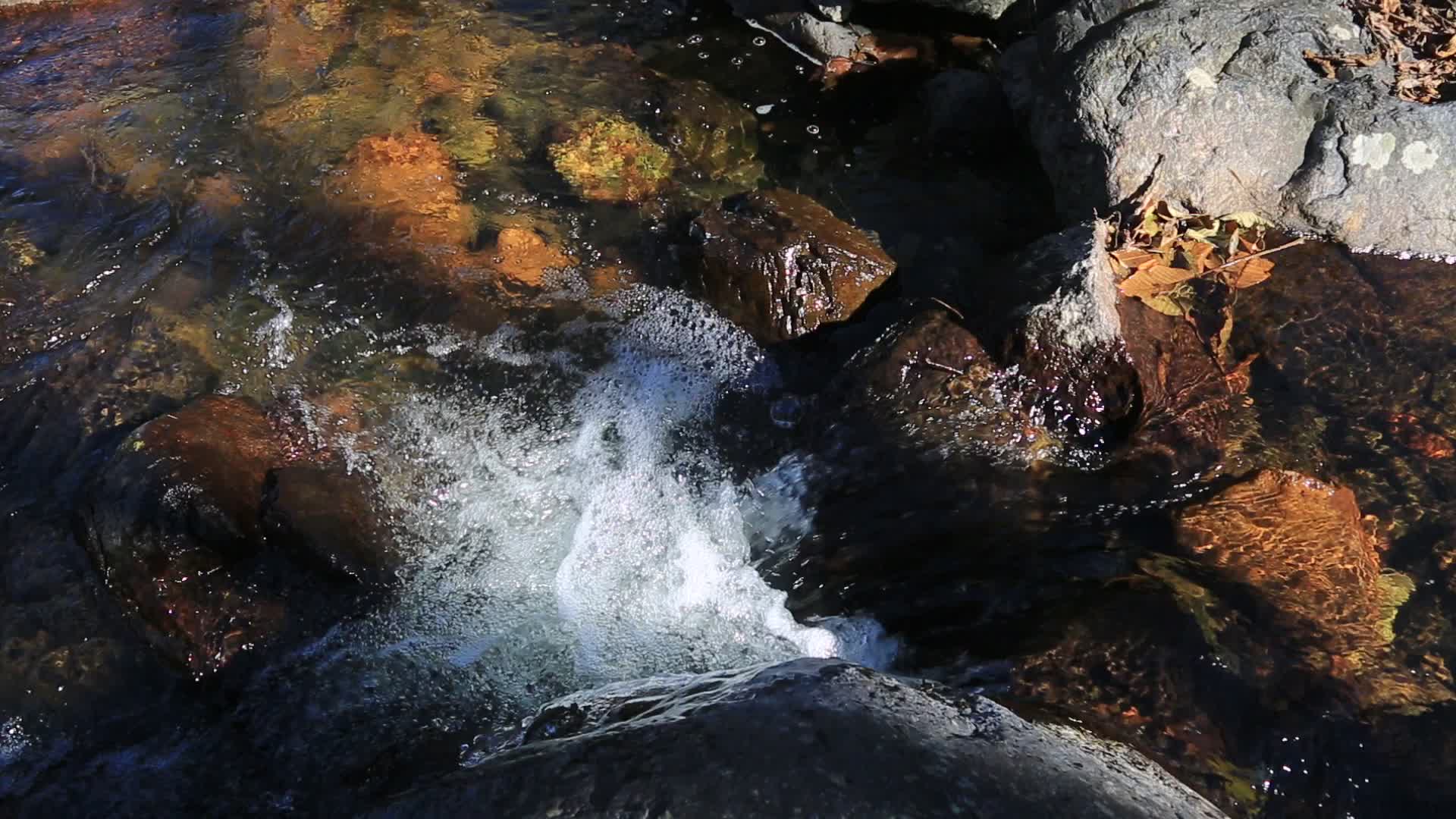 小溪流水河流溪水视频的预览图