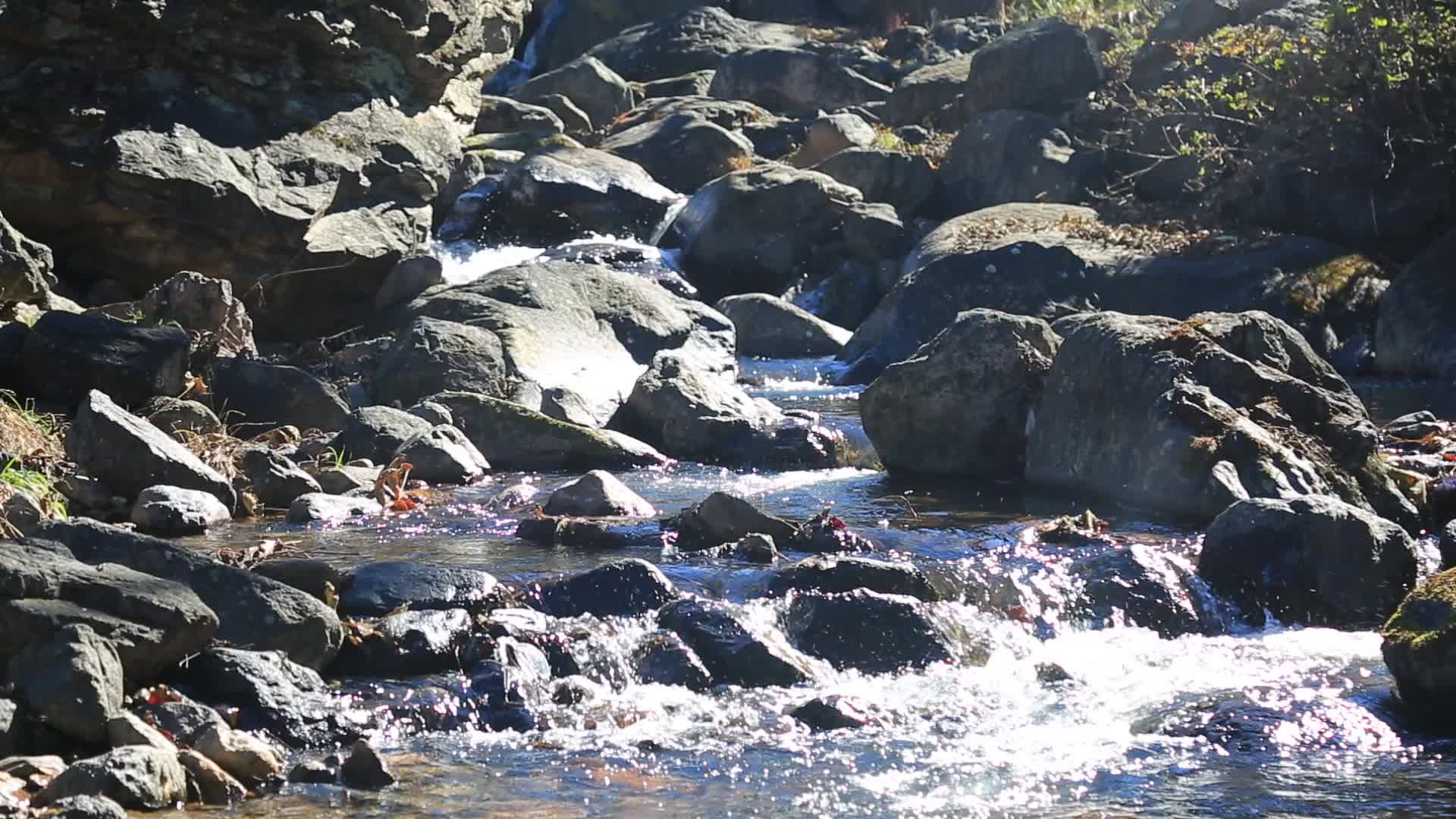小溪流水河流溪水视频的预览图
