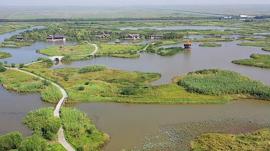 浙江宁波慈溪市杭州湾国家湿地公园视频的预览图