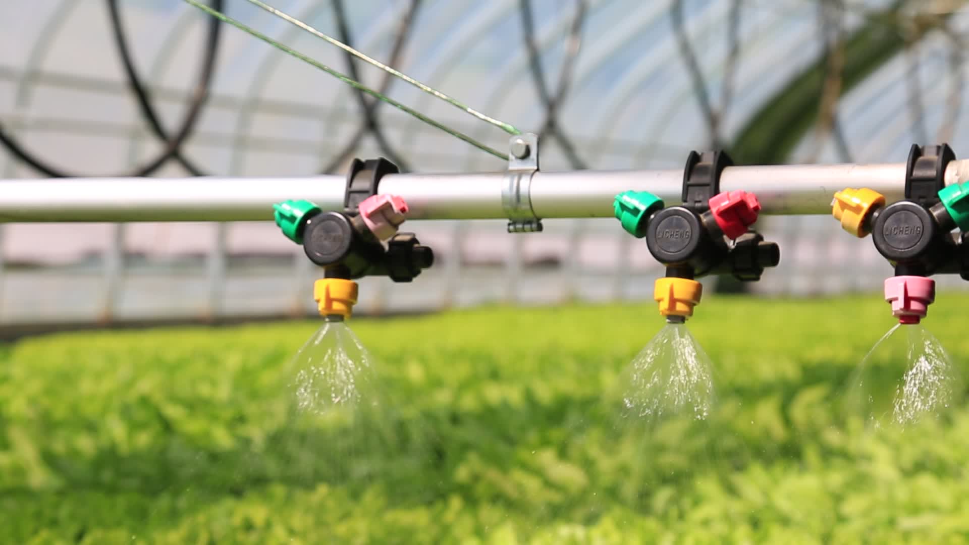 温室大棚水培蔬菜自动喷淋设施视频的预览图