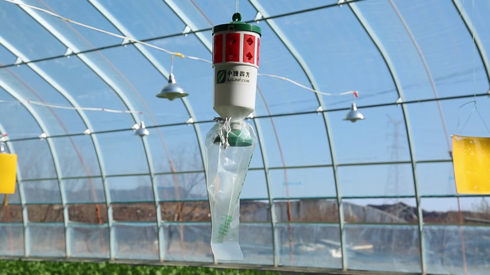 温室大棚水培蔬菜种植设施视频的预览图