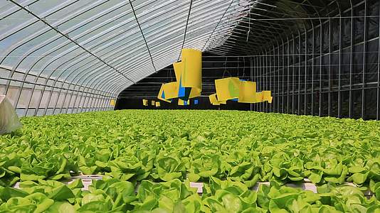 温室大棚水培蔬菜种植育苗视频的预览图