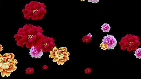 牡丹花背景视频的预览图
