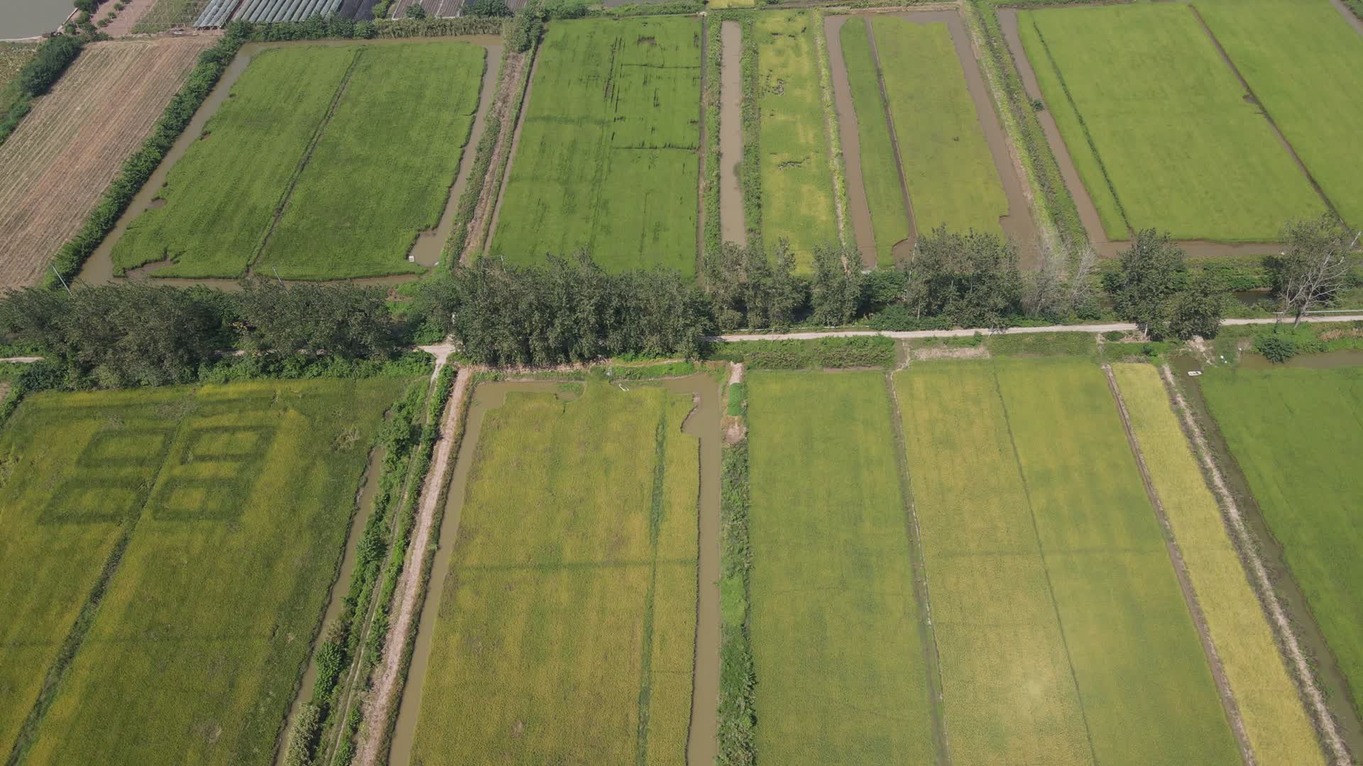 4K航拍农业农田丰收视频的预览图