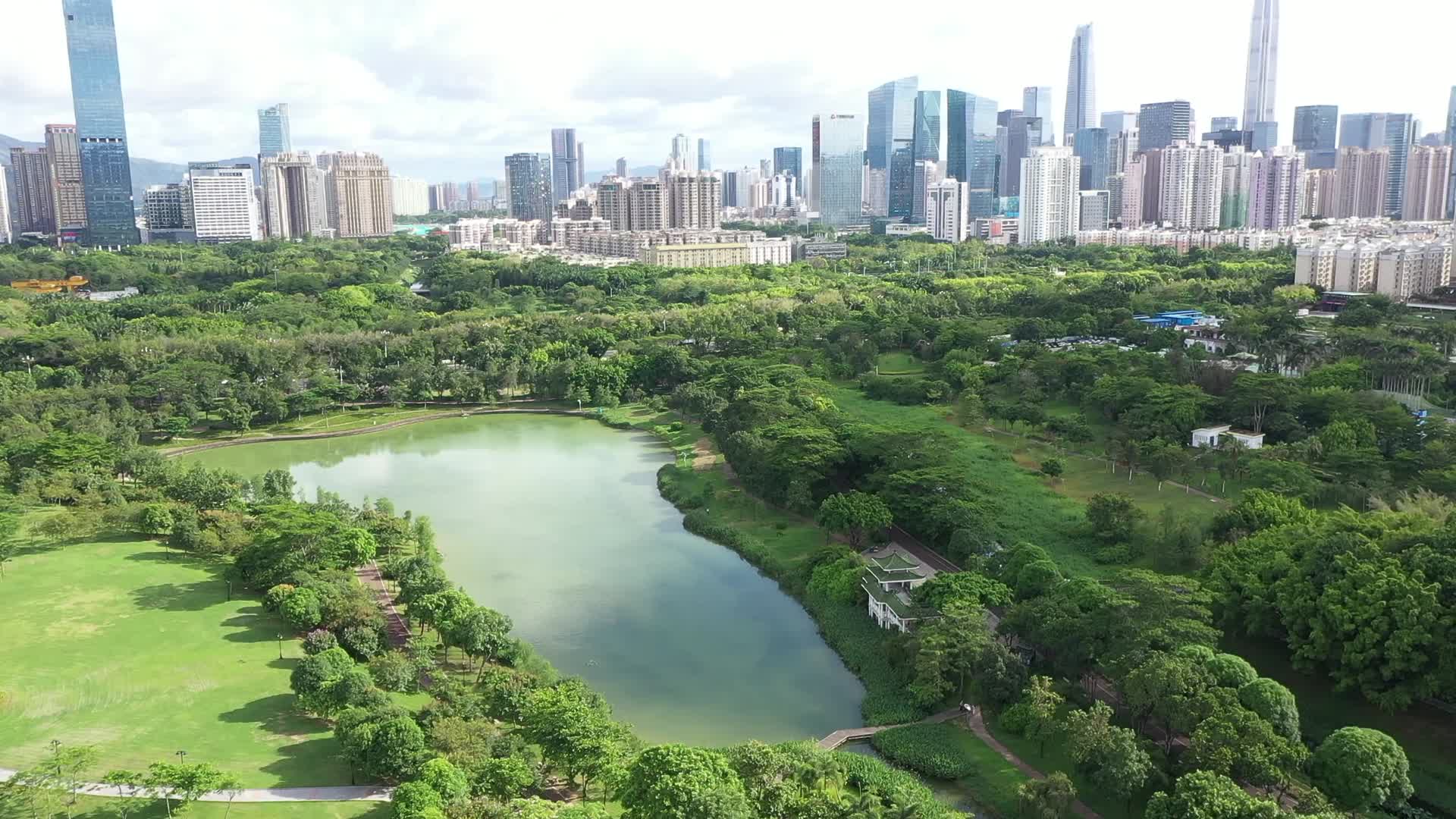 深圳中心公园航拍视频的预览图