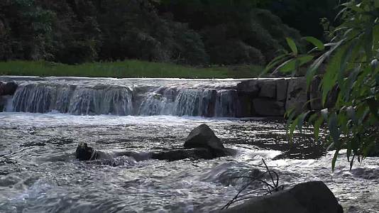 4K高清流水青苔小瀑布生态视频的预览图