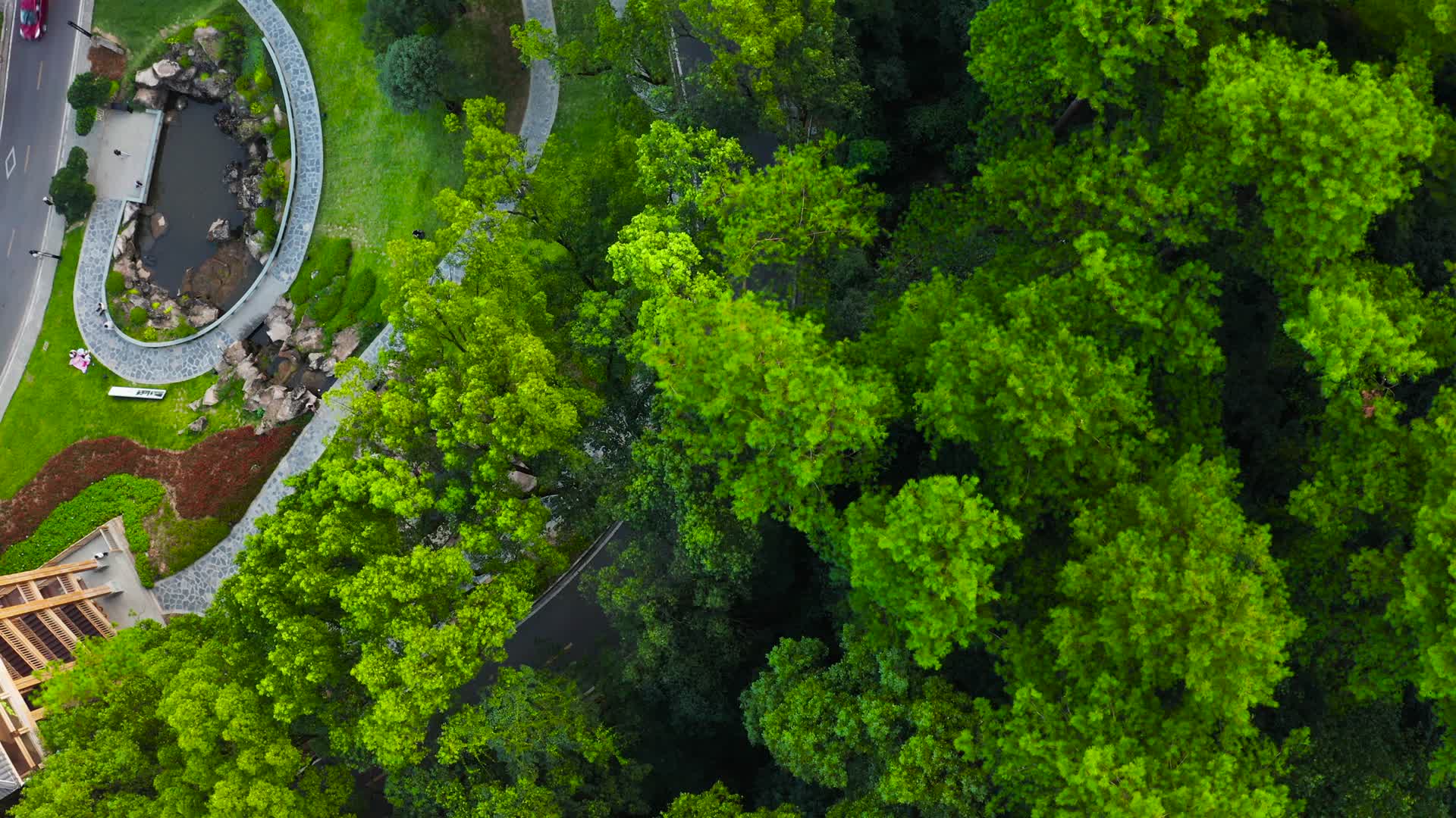 森林公园航拍视频的预览图