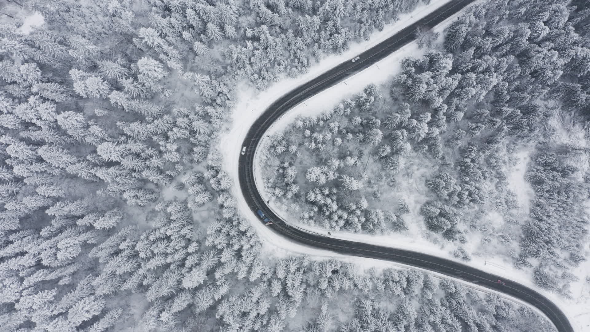 森林公路雪景航拍视频的预览图