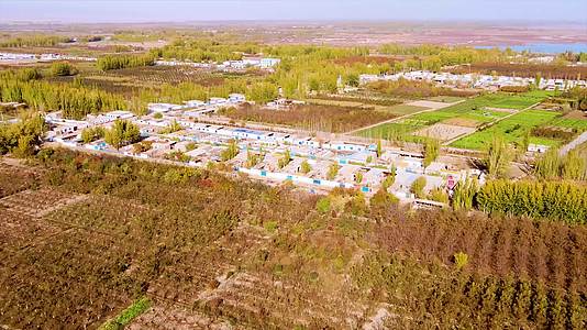 新疆南疆农村建设秋景视频的预览图