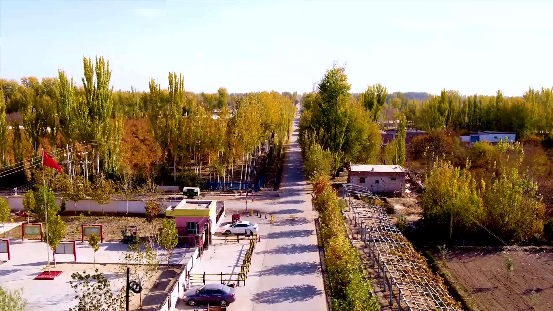 新疆南疆农村建设秋景视频的预览图