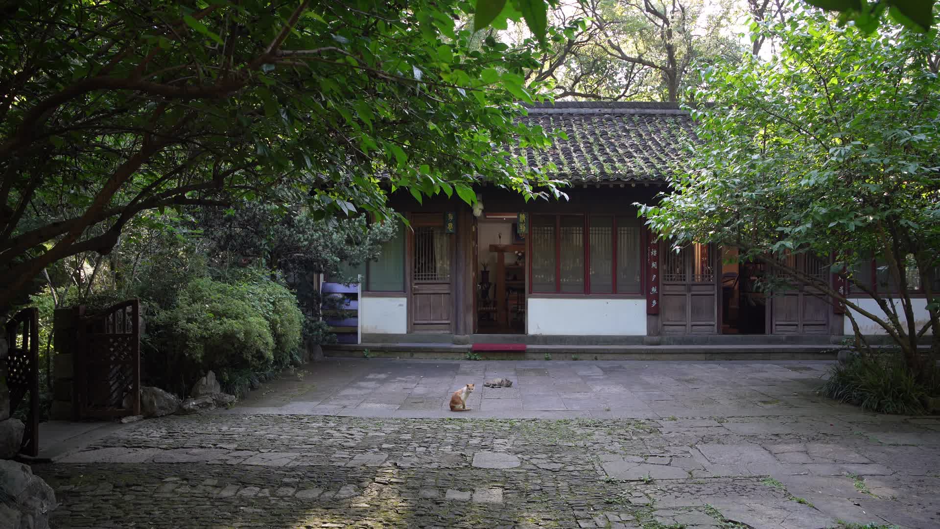 杭州吴山景区三茅观遗址4K风景视频视频的预览图