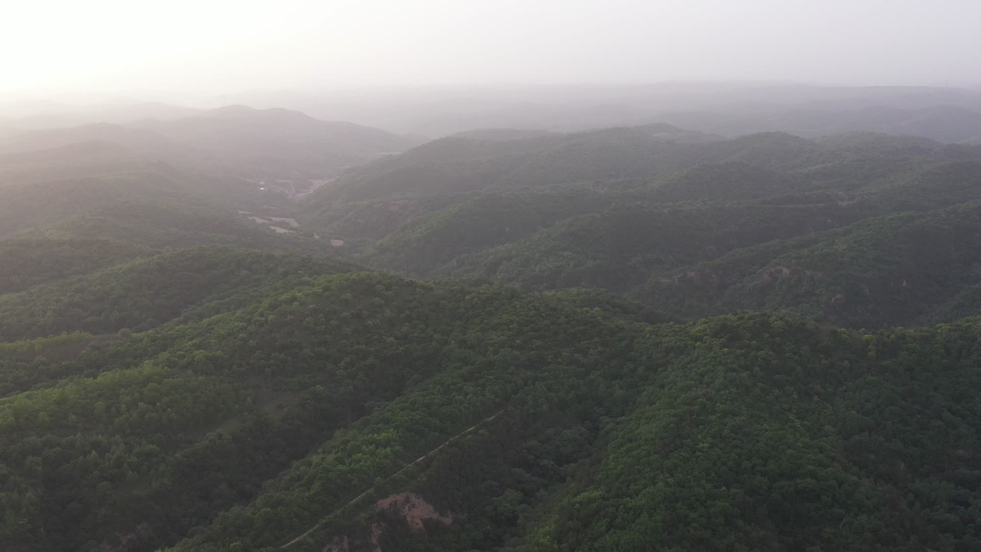 航拍陕西延安劳山森林天然氧吧视频的预览图