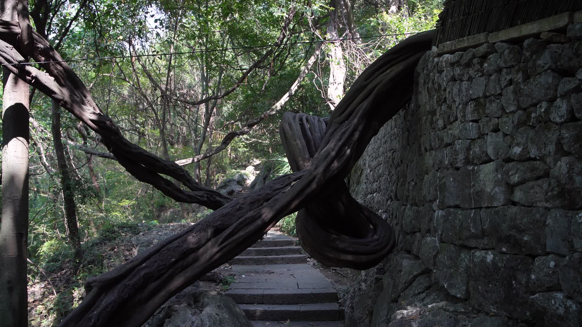 杭州凤凰山风景区将台山排衙石诗刻4K风景视频视频的预览图