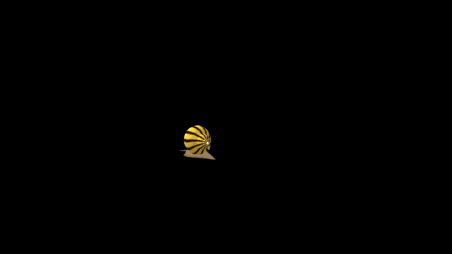 带透明通道蜗牛爬行视频的预览图