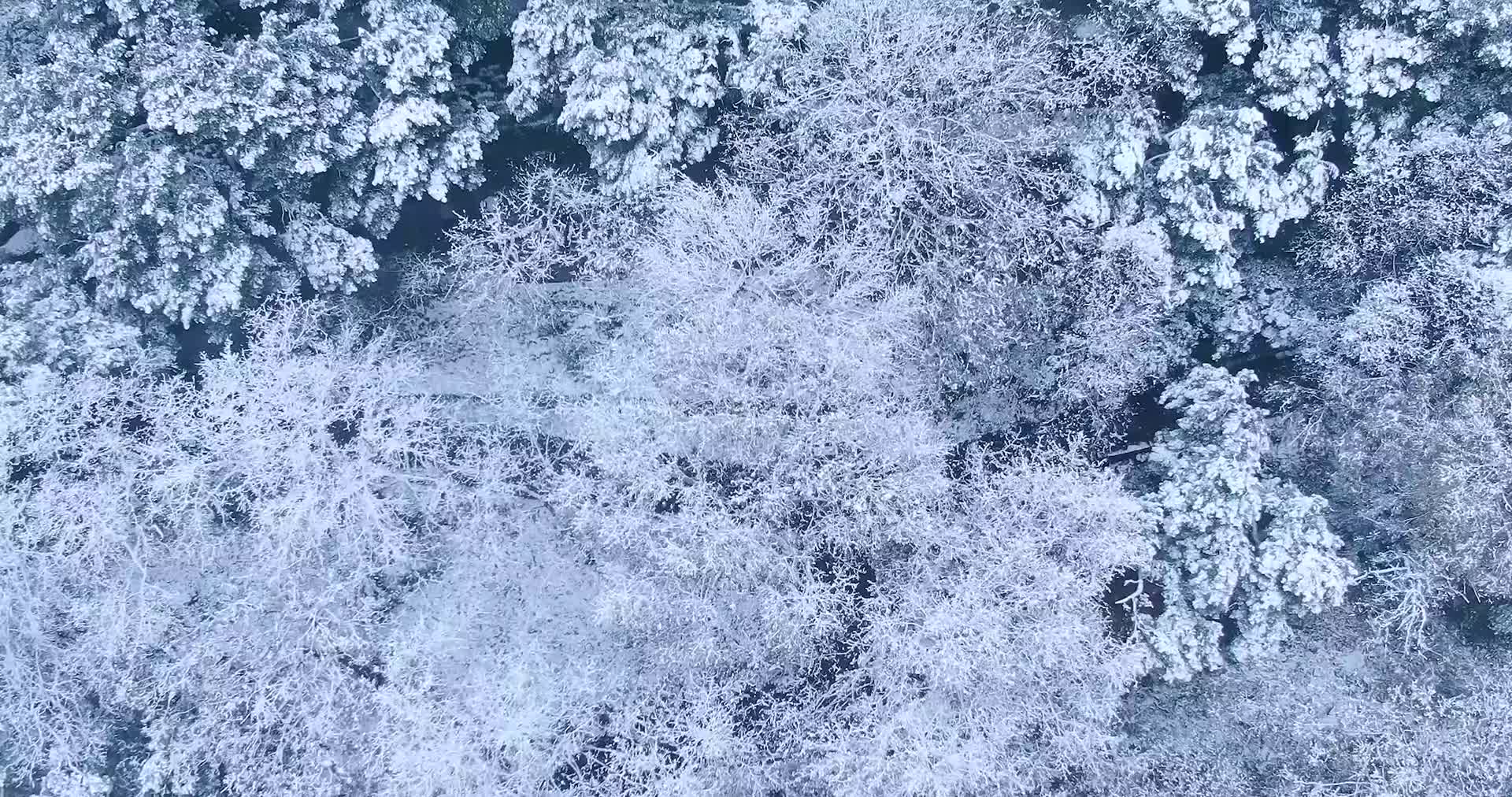 杭州吴山景区城隍阁下雪天航拍4K风景视频视频的预览图
