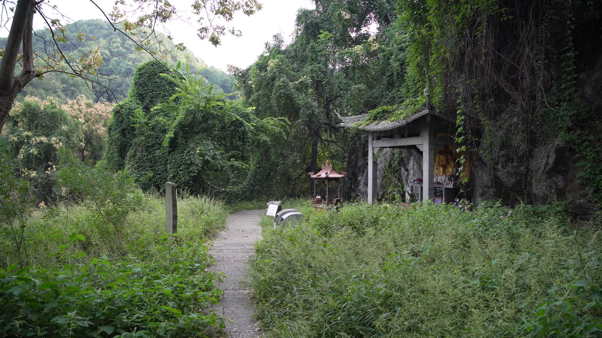 杭州凤凰山风景区凤凰池4K视频视频的预览图