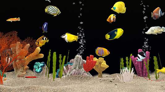 全息投影海底世界水族视频的预览图
