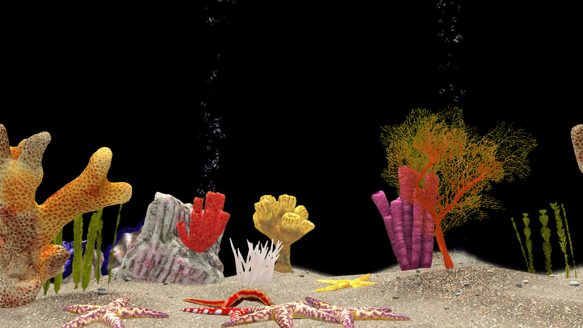 带透明通道海底世界植物空景视频的预览图