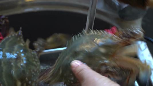 清洗清蒸梭子蟹视频的预览图