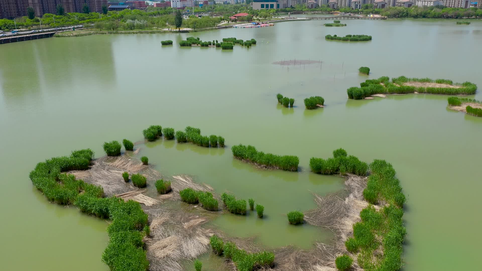 航拍银川宝湖湿地公园视频的预览图