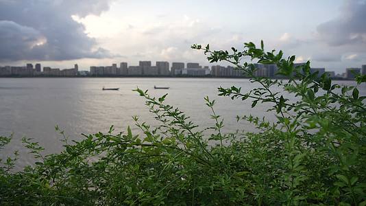 杭州滨江公园景点4K风景视频视频的预览图