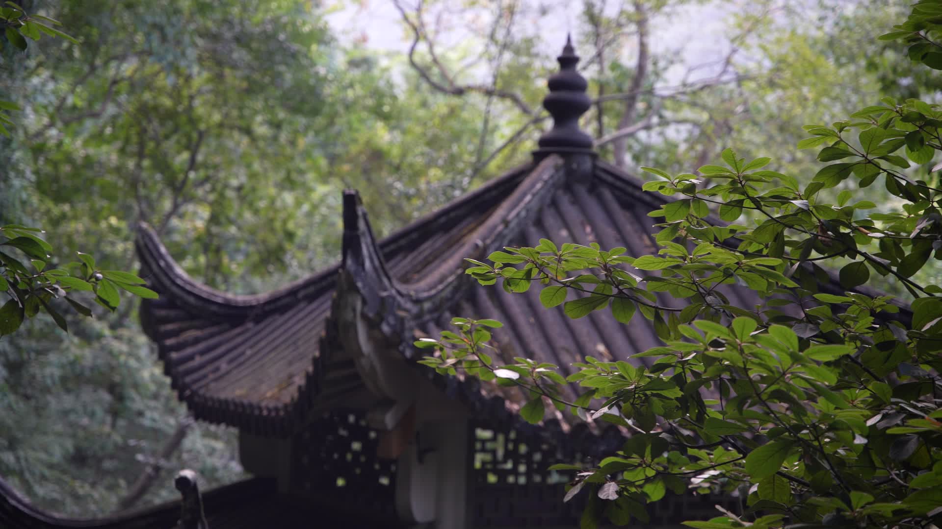 杭州飞来峰景区翠微亭4K风景视频视频的预览图