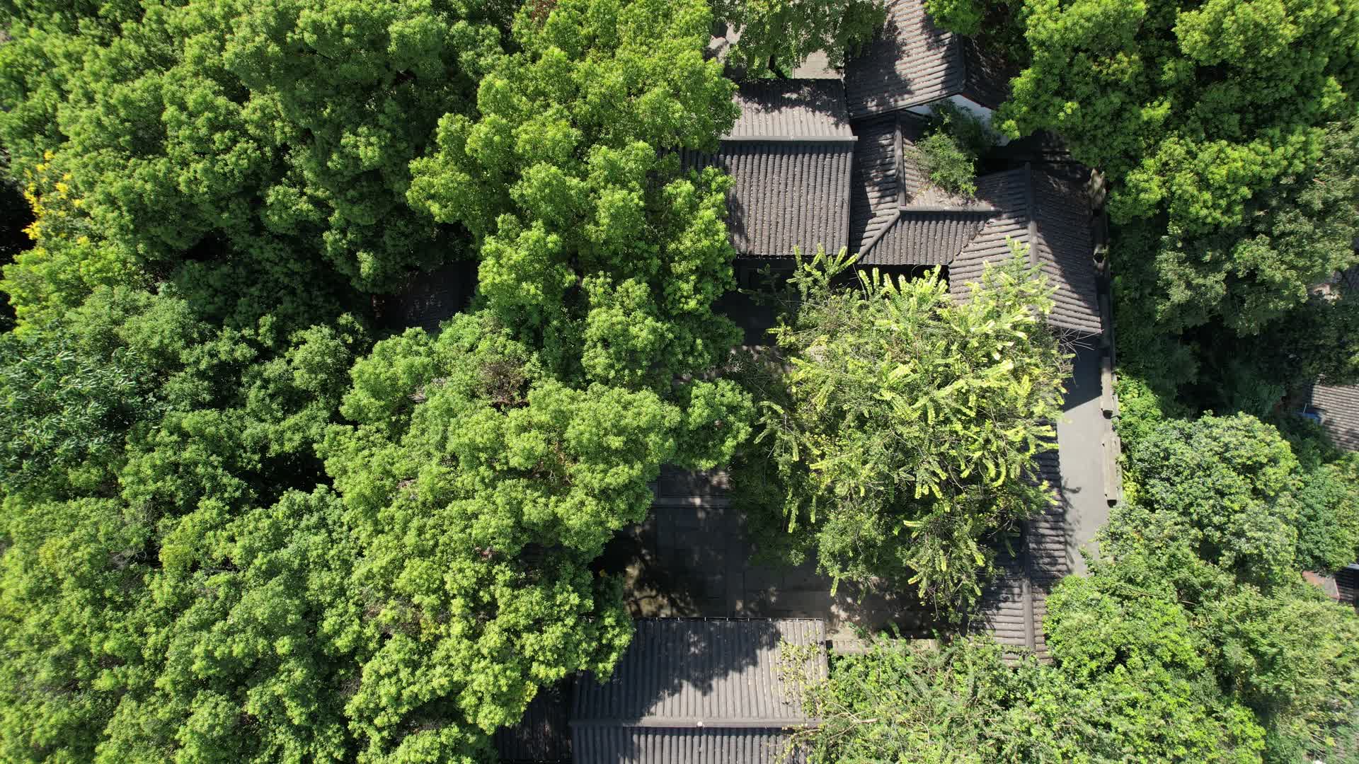 杭州吴山景区伍公庙航拍4K风景视频视频的预览图