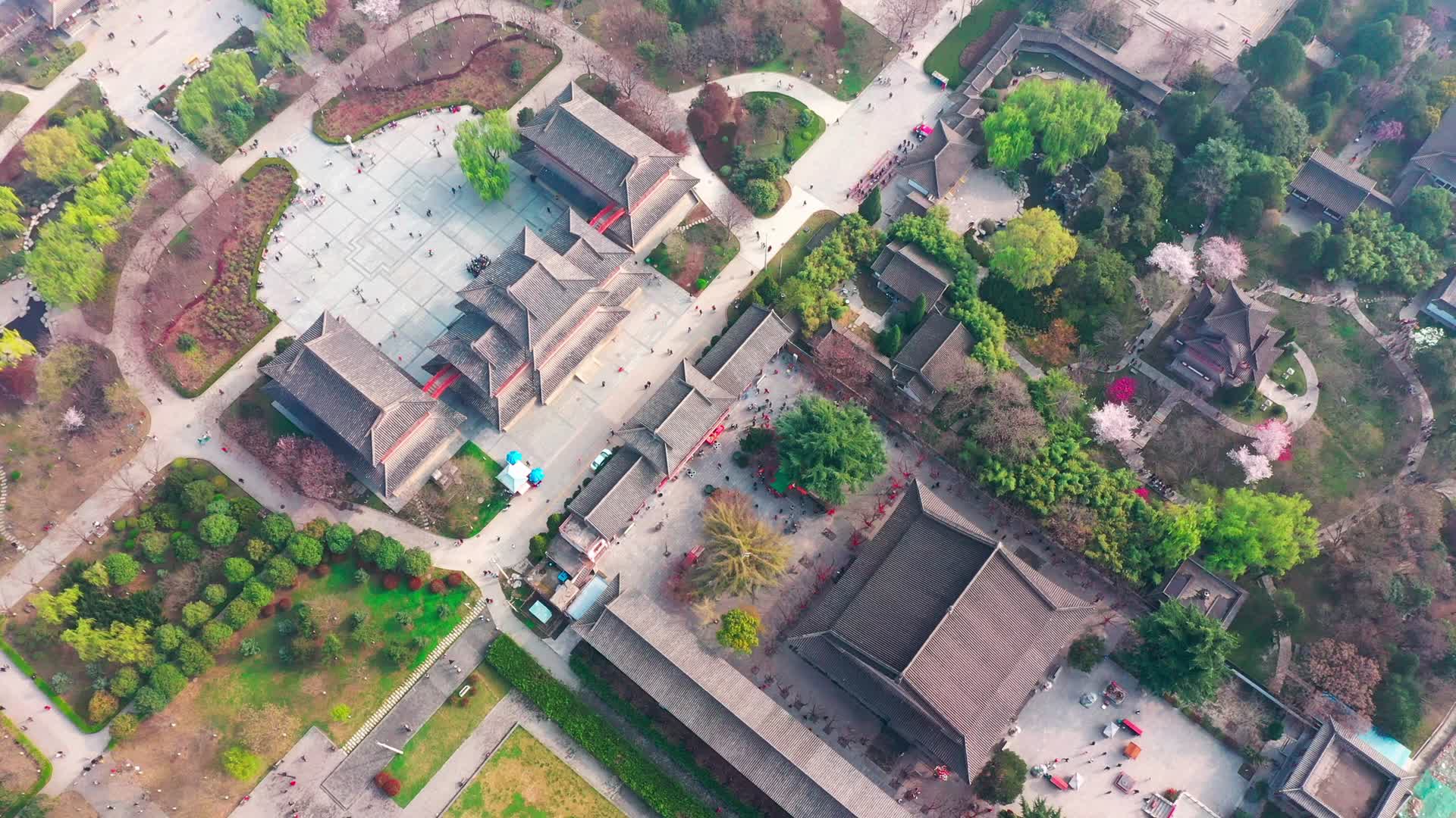 航拍西安青龙寺视频的预览图