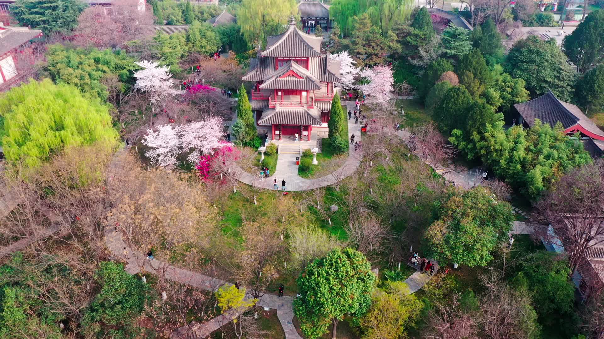 航拍西安青龙寺视频的预览图