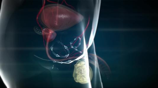 药物进入睾丸和尿道形成保护膜彻底杜绝病菌视频的预览图