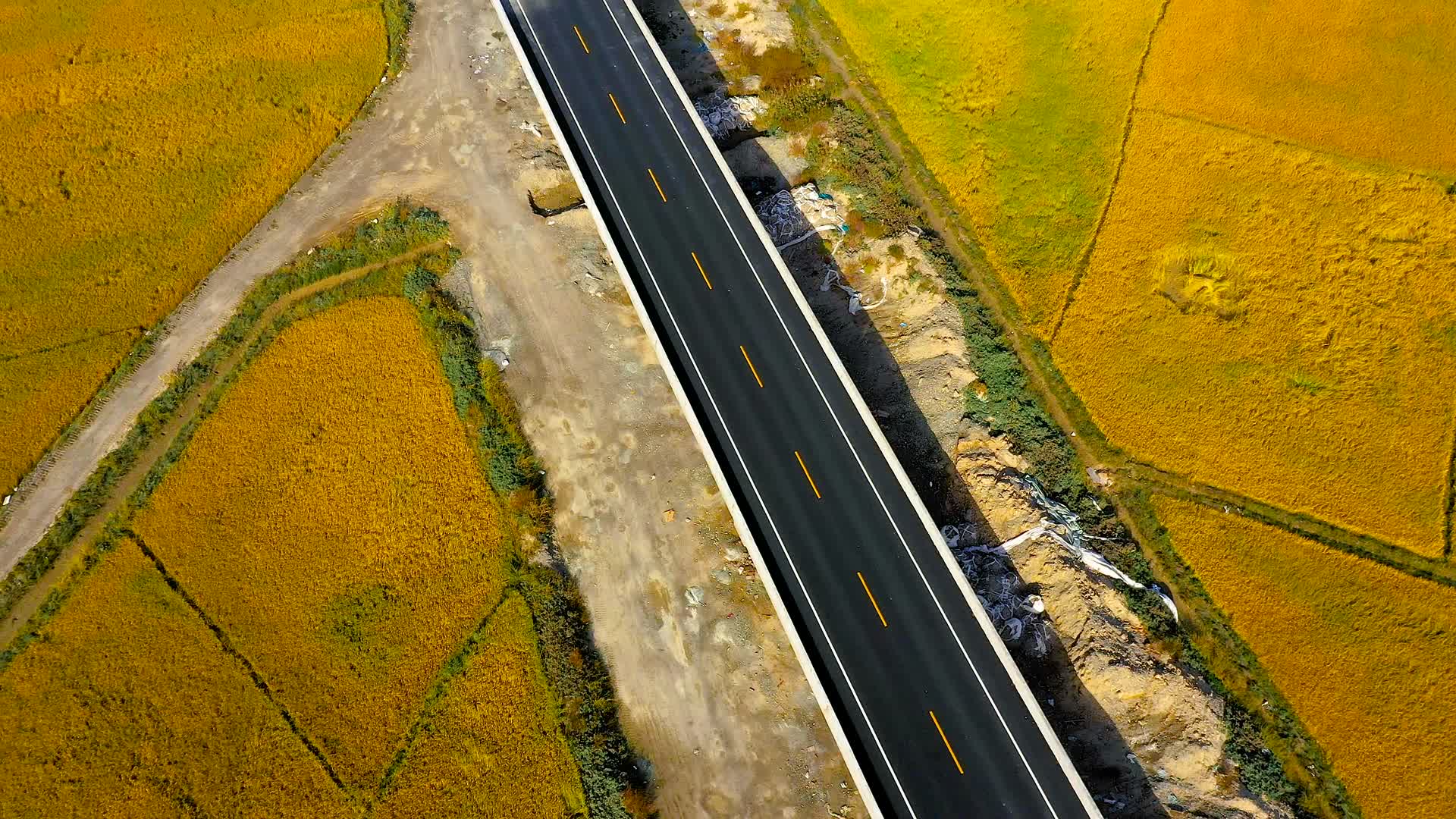 航拍稻田公路视频的预览图