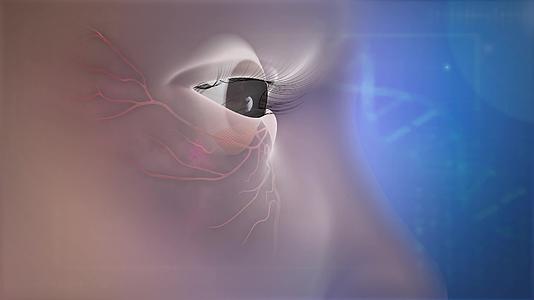 黑眼圈眼袋眼纹的成因三维动画演示视频的预览图