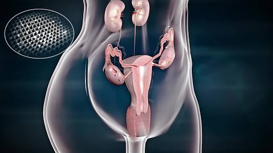 修复子宫促雌激素分泌炎症部位愈合视频的预览图