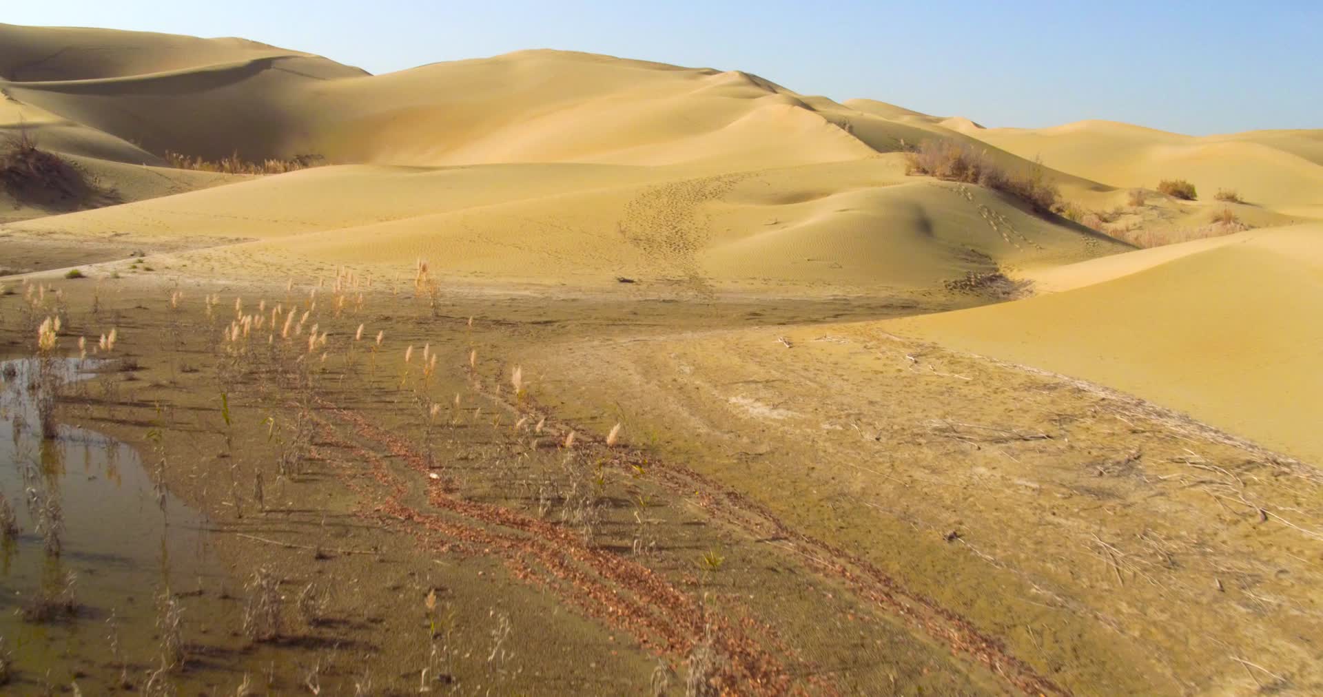 航拍塔克拉玛干沙漠视频的预览图