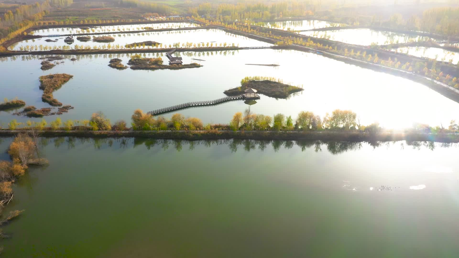 航拍阿克苏湿地公园视频的预览图
