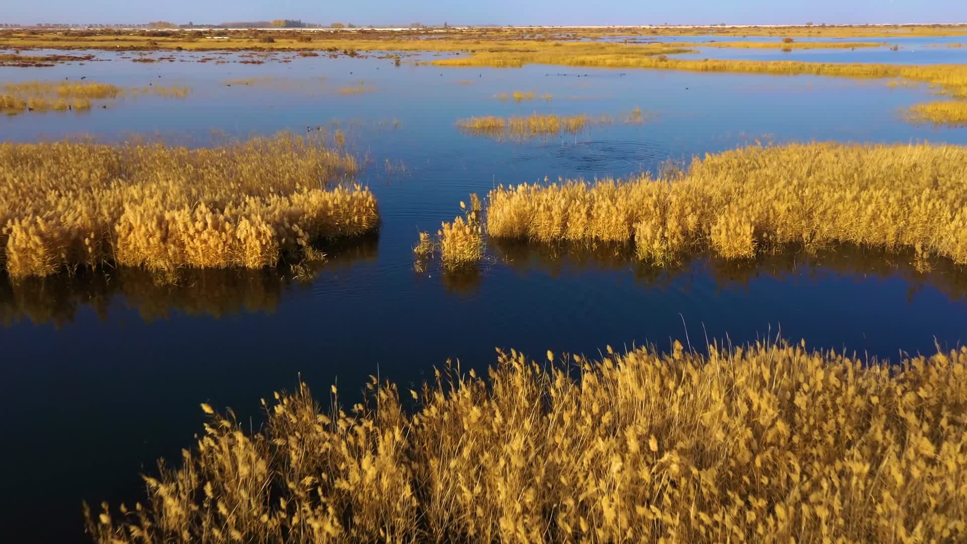 航拍阿克苏地区多浪水库秋景视频的预览图