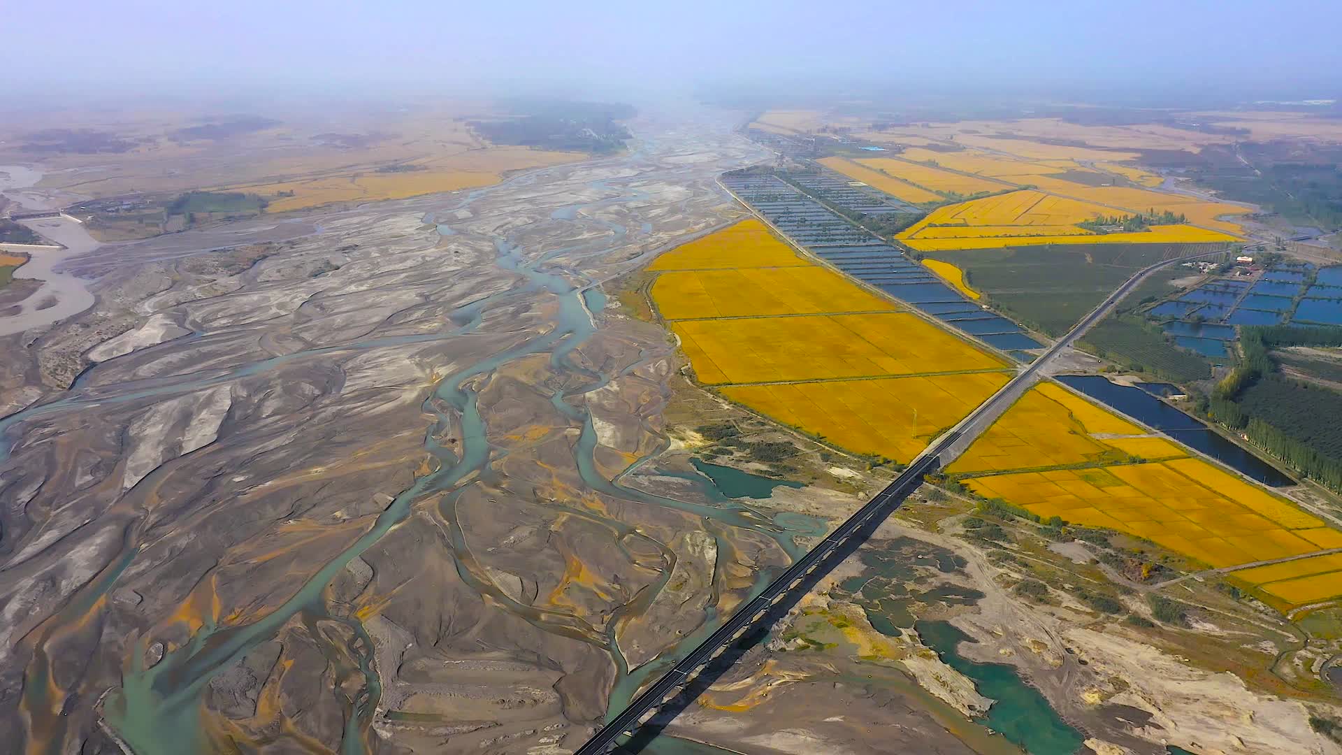 航拍新疆塔里木河视频的预览图