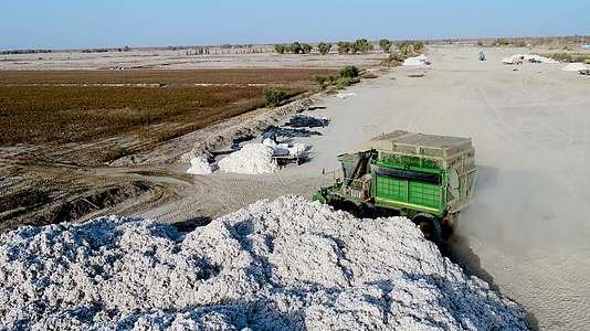 航拍新疆阿瓦提县机械收棉花视频的预览图