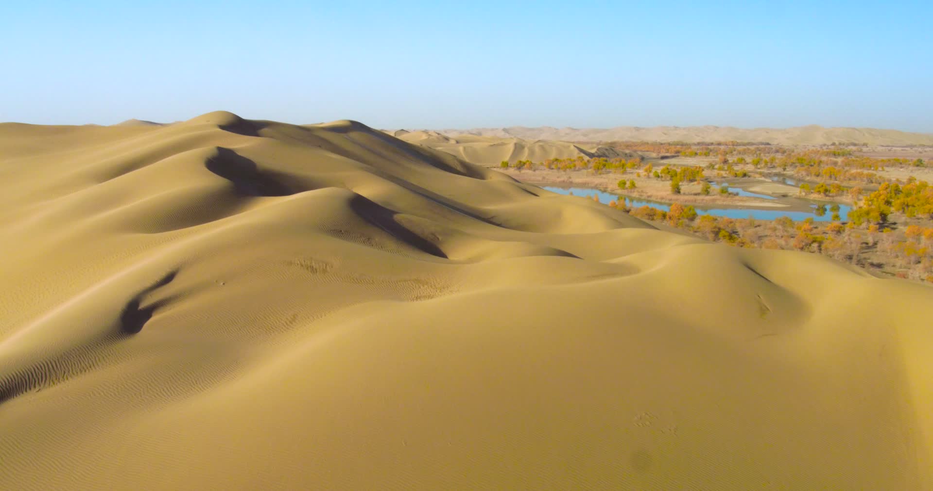 新疆塔克拉玛干沙漠视频的预览图