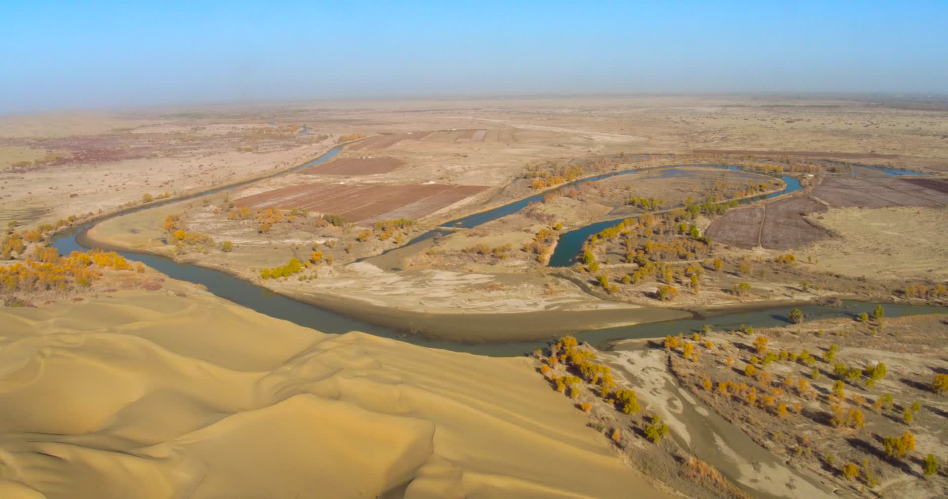 新疆塔克拉玛干沙漠塔里木河视频的预览图
