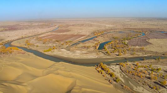 新疆塔克拉玛干沙漠塔里木河视频的预览图
