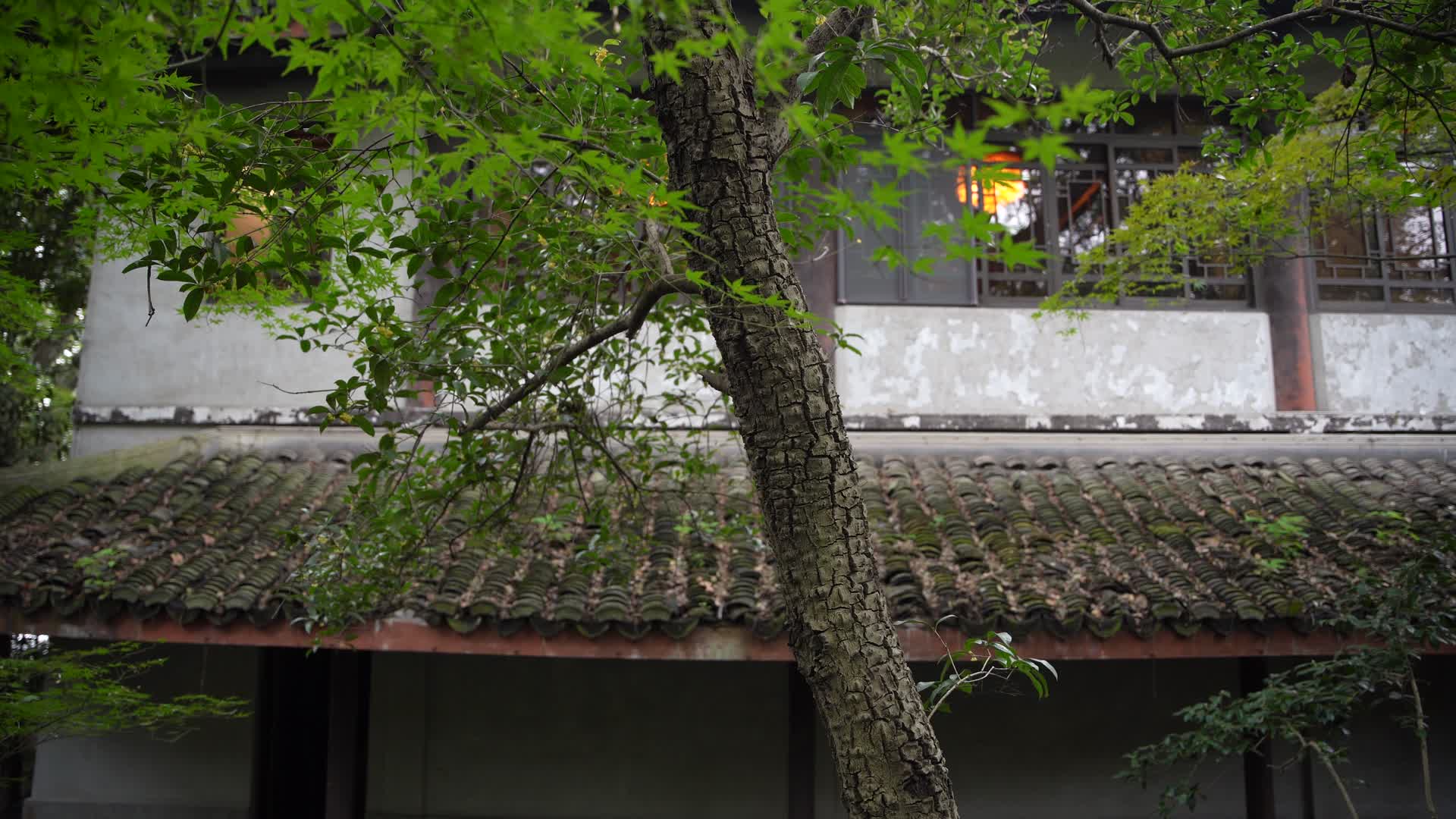 杭州西湖风景区俞曲园纪念馆4K风景视频视频的预览图