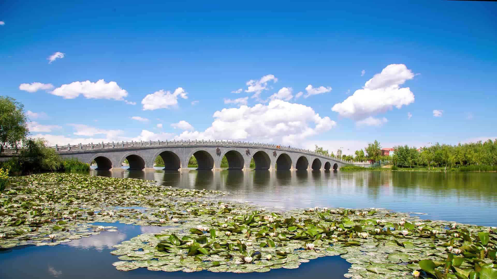 新疆阿克苏白水桥视频的预览图