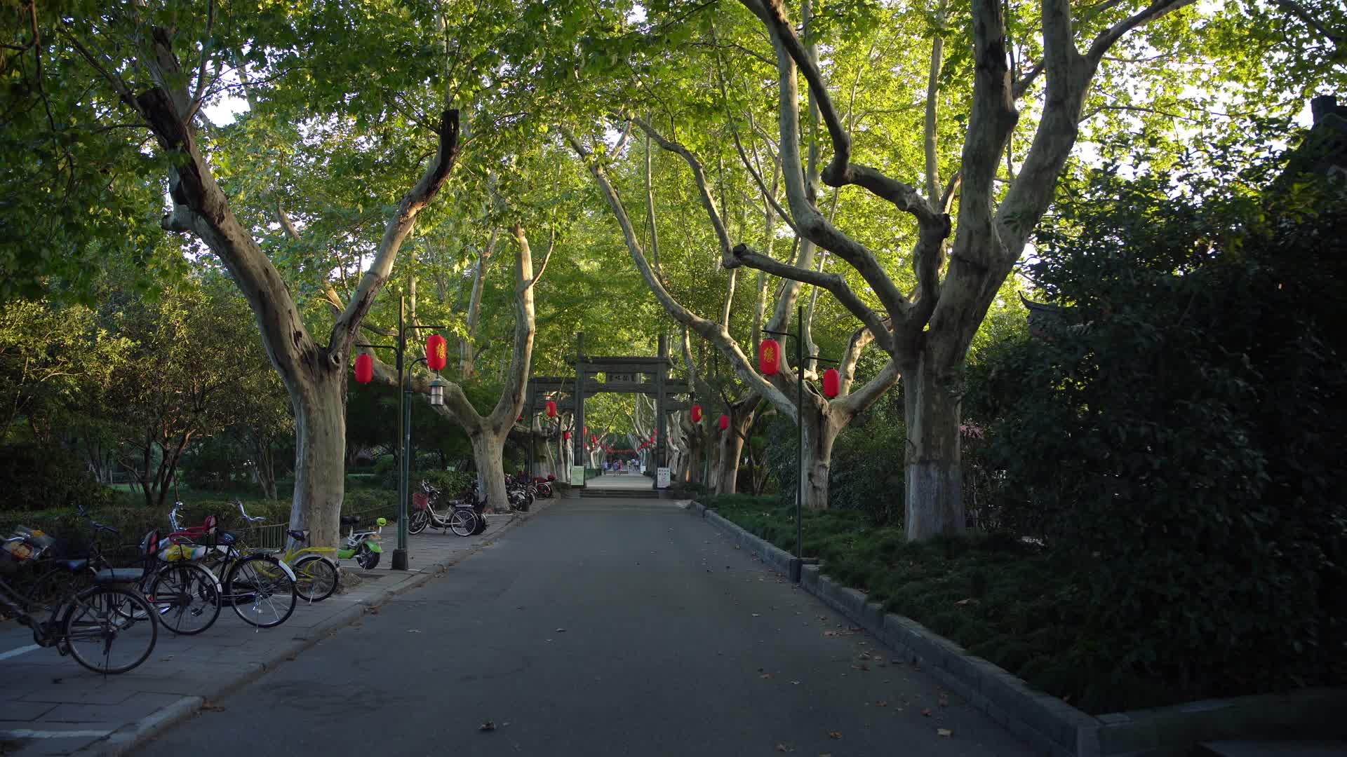杭州宝石山景区黄龙洞景区4K风景视频视频的预览图