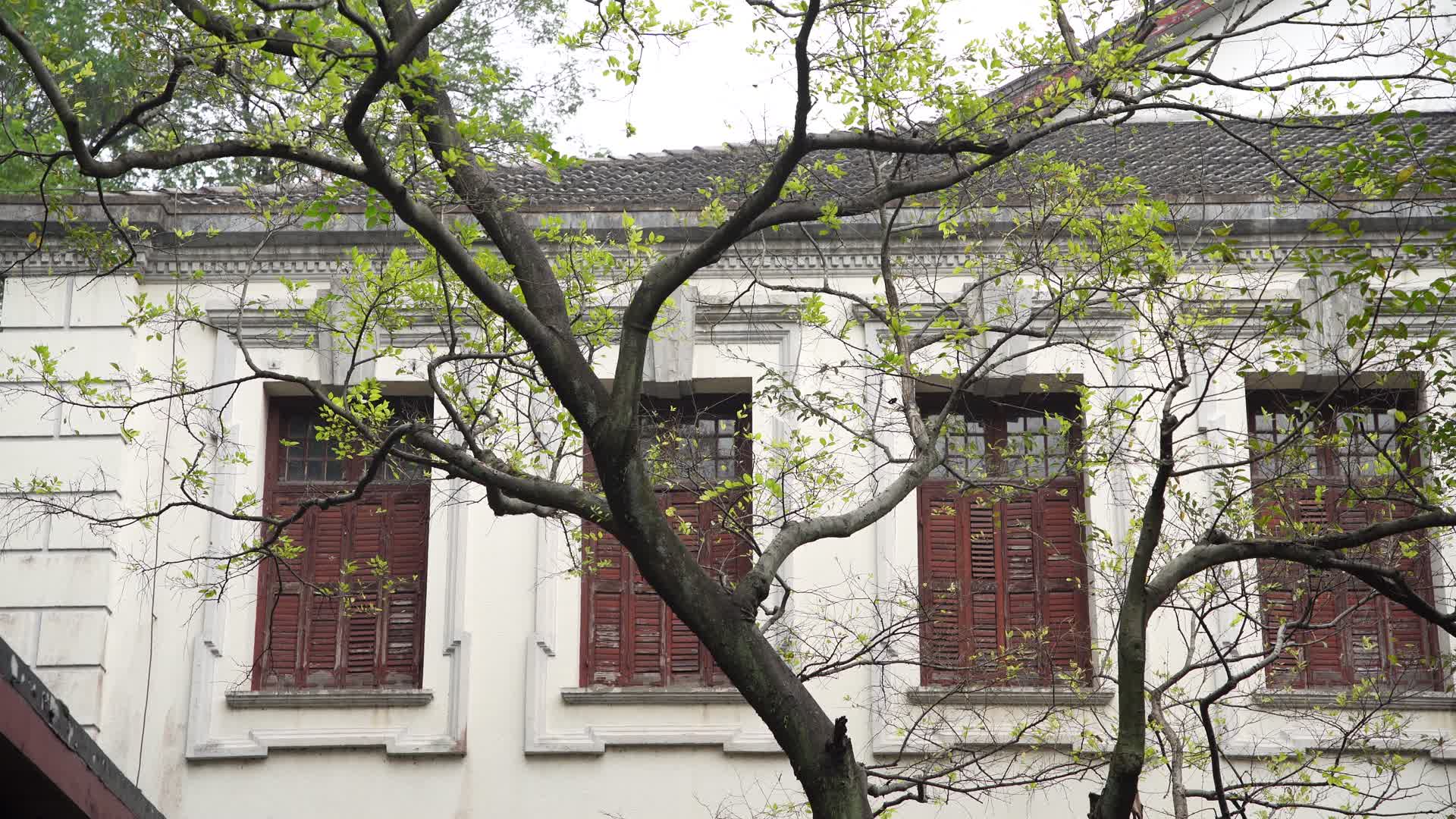 杭州西湖风景区浙江图书馆旧址4视频视频的预览图